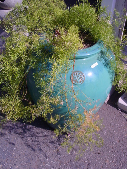 Blue Garden Jars 22ub