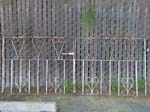 Wr iron double gates -white 49ea w x 42h